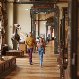 Ein Mann und ein Mädchen gehen durch ein Museum mit Skeletten, umgeben von historischen Details.
