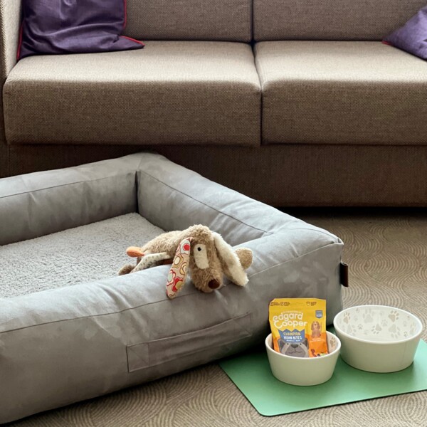 Bequemes Hundebett im Hotel für Hunde, Henriette Stadthotel in Wien