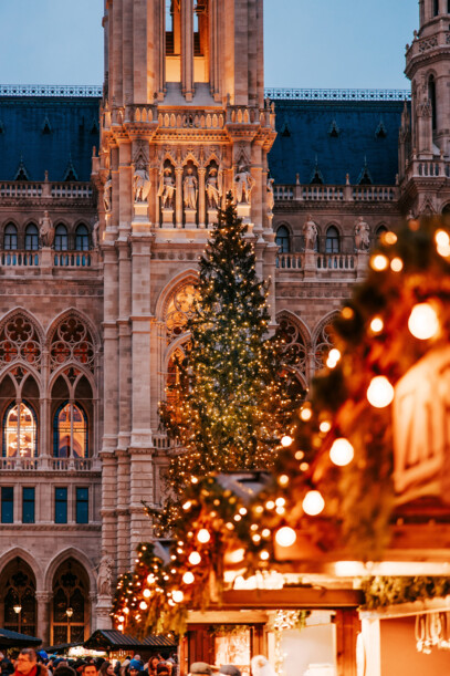 Der Weihnachtsbaum vor dem Wiener Rathaus, nur 20 U-Bahn-Minuten vom Hotel Henriette.