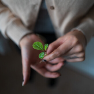 A woman holding a small plant