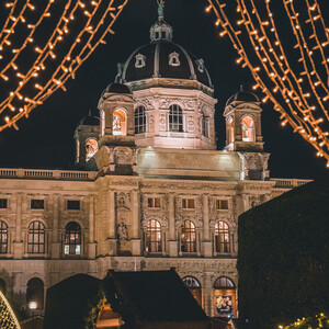Dach des Stephansdom in Wien