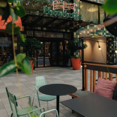 Frühling im Lainzer Tiergarten in Wien: Damhirschkuh auf einer Wiese voller Krokusse