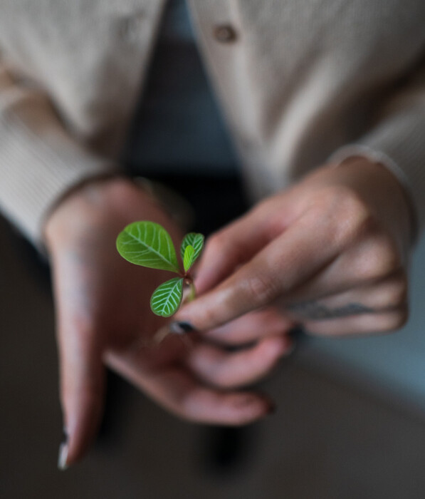 Woman holding a seedling – renewable hotel design at Henriette Stadthotel Vienna.