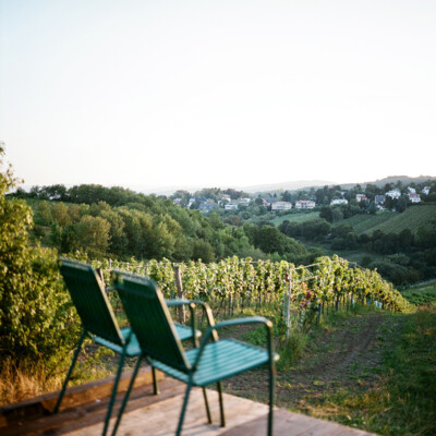 Sitzen mit Ausblick über die Wiener Weingärten