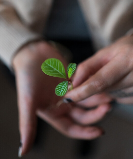 Woman holding a seedling – renewable hotel design at Henriette Stadthotel Vienna.