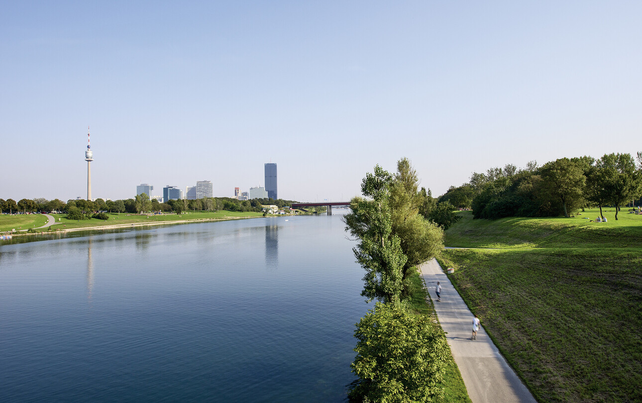 View of the Danube with a path and trees on the right, and a skyline including a tall tower on the left. Clear blue sky above.