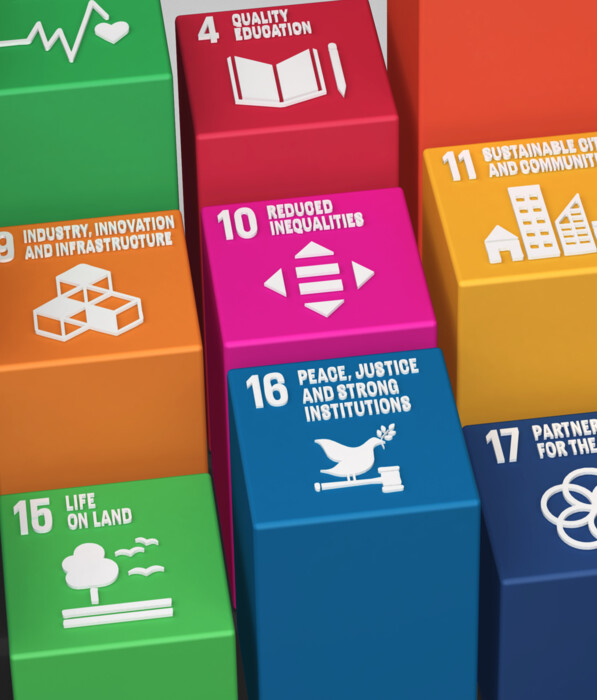 Graphic of the Sustainable Development Goals