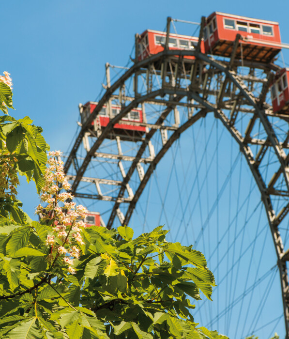 The Giant Ferris Wheel and blooming trees in Vienna's Prater.