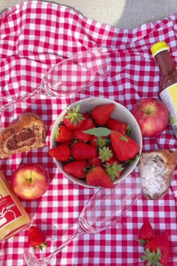 Sommerlichen Picknickkorb beim Hotel Henriette buchen