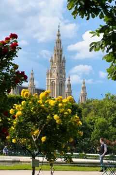 Das Rathaus in Wien vom Volksgarten aus gesehen.