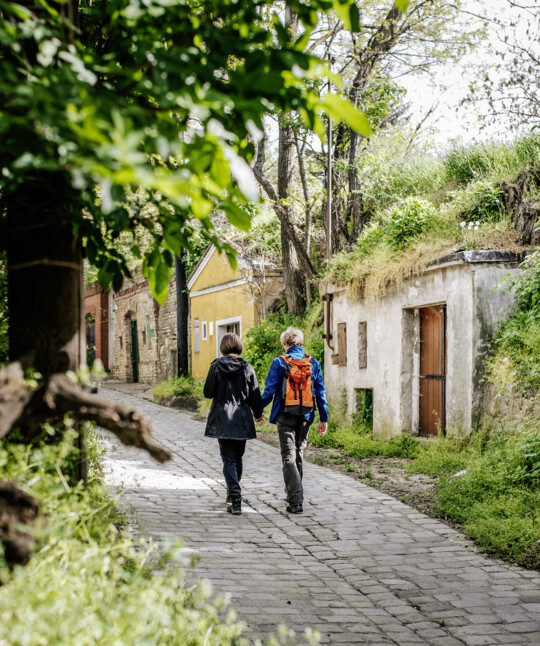 Herbst in Wien: Wandern durch die Wiener Kellergassen und Weinberge