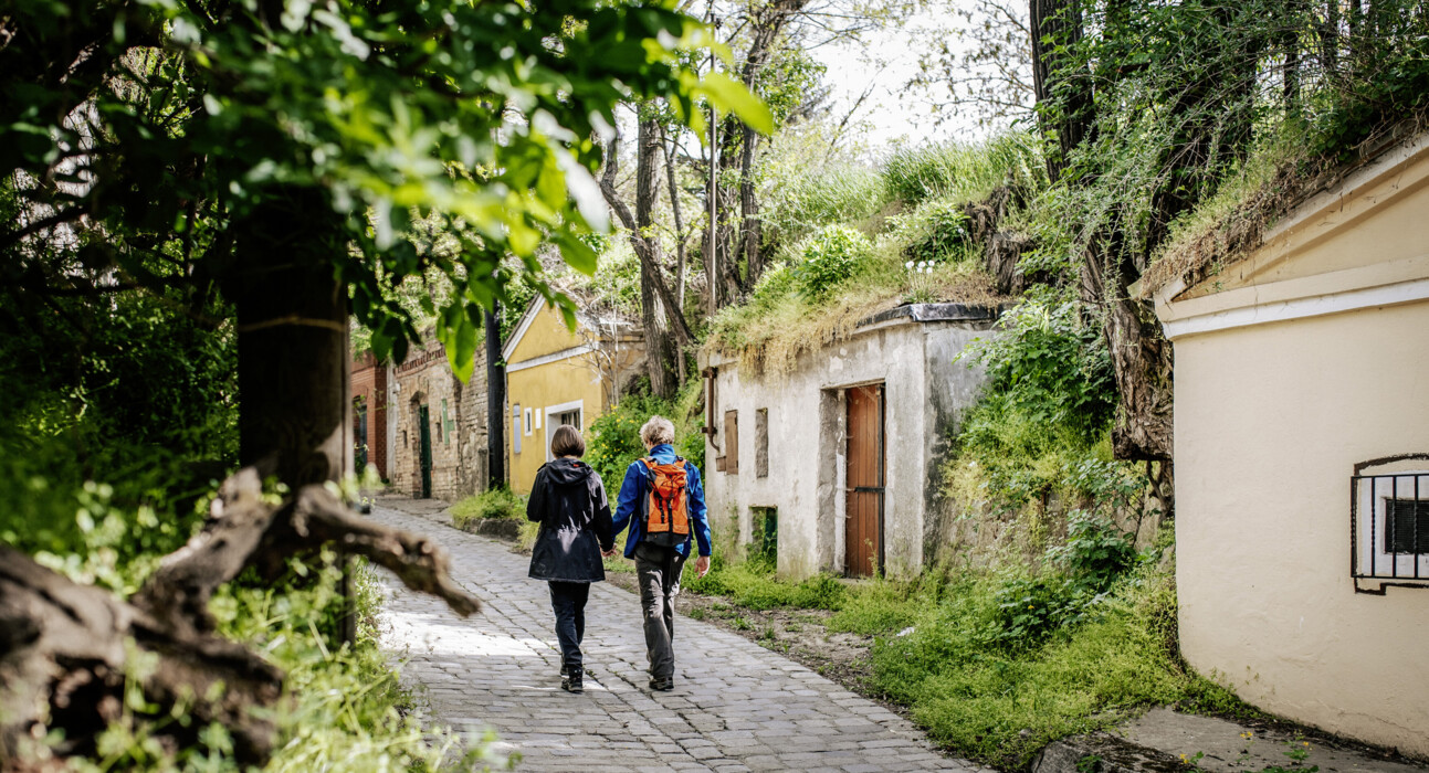 Herbst in Wien: Wandern durch die Wiener Kellergassen und Weinberge