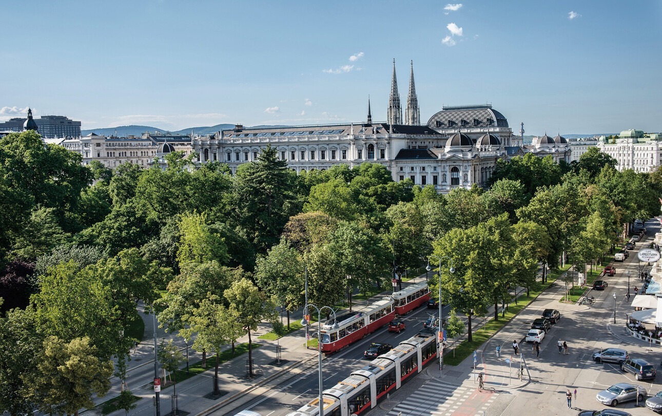 Gruß aus Wien - wunderbarer Blick auf die Stadt Wien