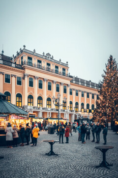Weihnachtsbaum am Christkindlmarkt vor dem Schloss Schönbrunn in Wien.