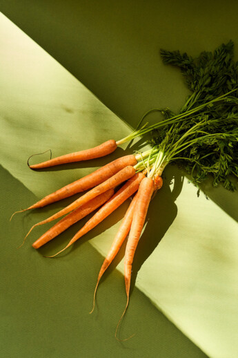 Freshly harvested carrots
