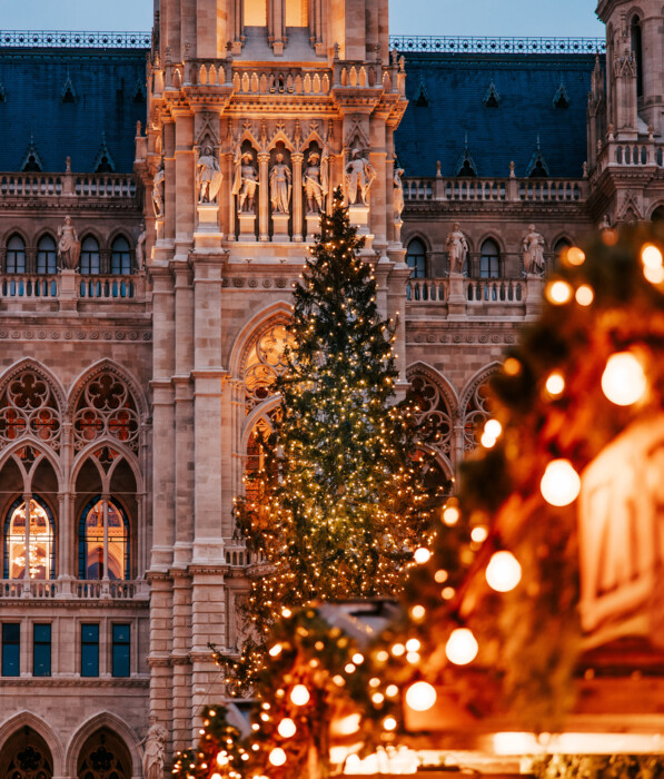 Beleuchteter Weihnachtsbaum am Weihnachtsmarkt am Rathausplatz in Wien