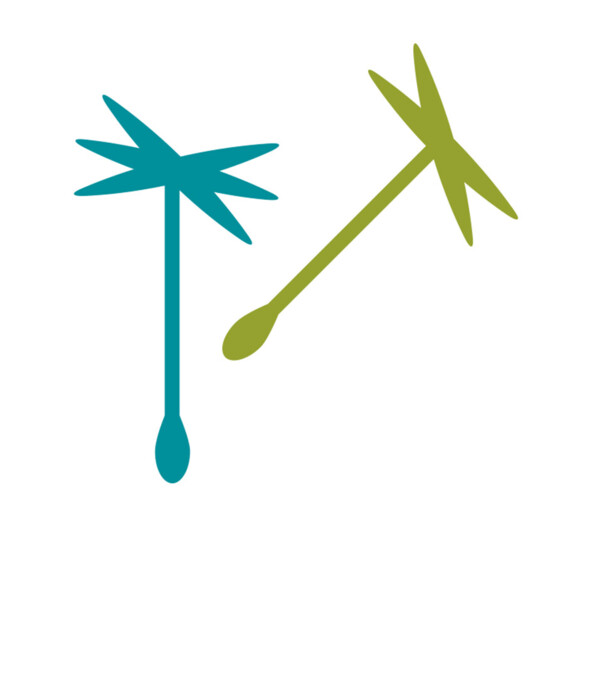 Logo der Gemeinwohl Ökonomie