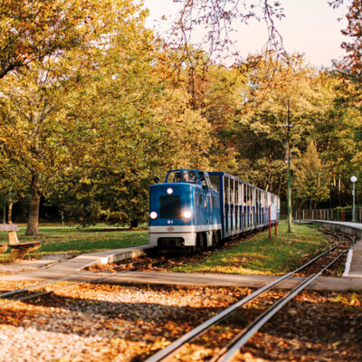 Blauer Zug fährt durch herbstlichen Park mit Bäumen und Bank, nahe Henriette Stadthotel.