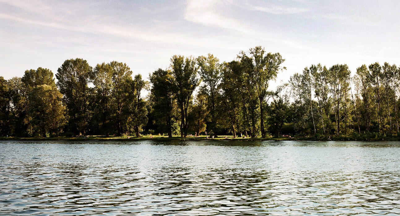 Ein schöner Park an der Donau gelegen