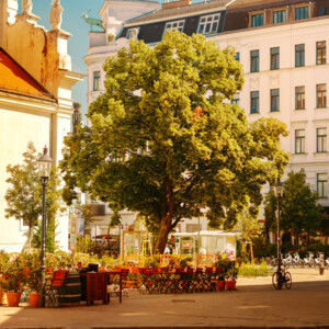 Sun-drenched Karmeliterplatz in 1020 Vienna