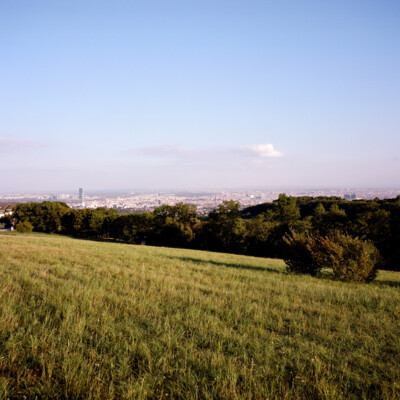 Blick über Wien vom Cobenzl aus