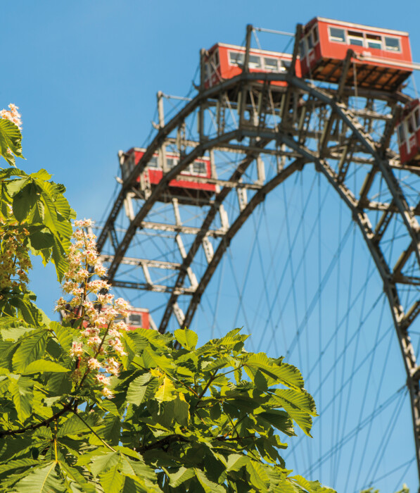 Das Wiener Riesenrad und blühende Bäume im Prater