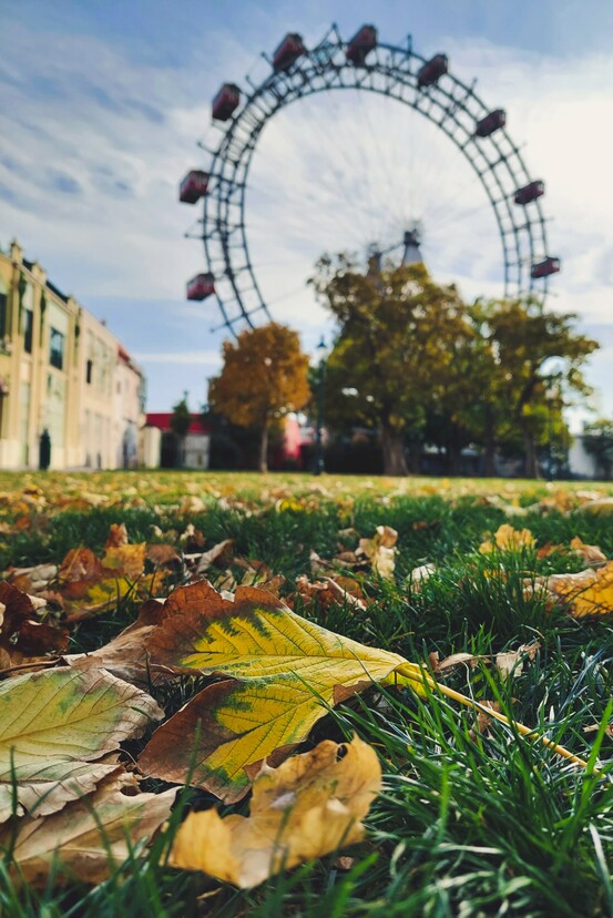Colourful autumn leaves in front of the Vienna Giant Ferris Wheel, only a 10-minute walk from Hotel Henriette