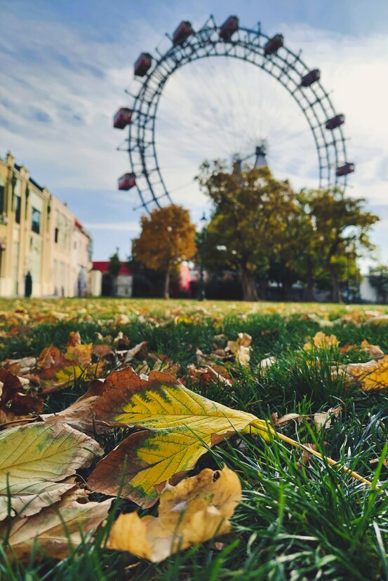 Buntes Herbstlaub vor dem Wiener Riesenrad, nur 10 Gehminuten vom Hotel Henriette