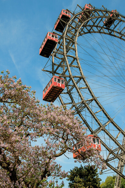 The Vienna Giant Ferris Wheel with a blossoming chestnut tree in front, just a 10-minute walk from Hotel Henriette