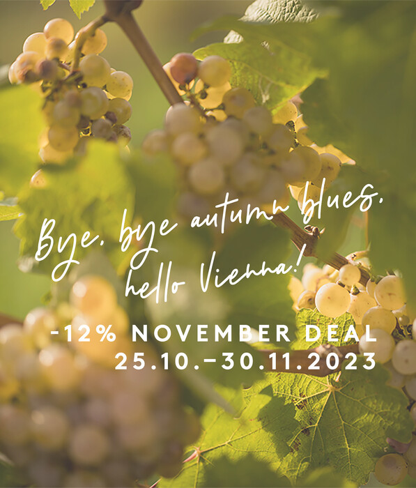 -12% November Deal – bye, bye, autumn blues, hello Vienna!