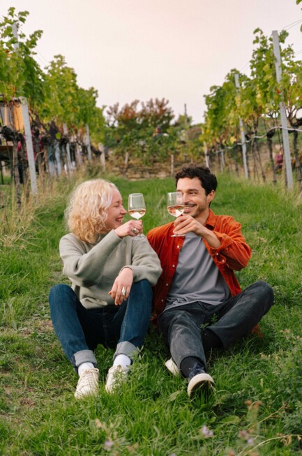 Two people sitting on grass in a Viennese vineyard between grapevines clinking wine glasses.