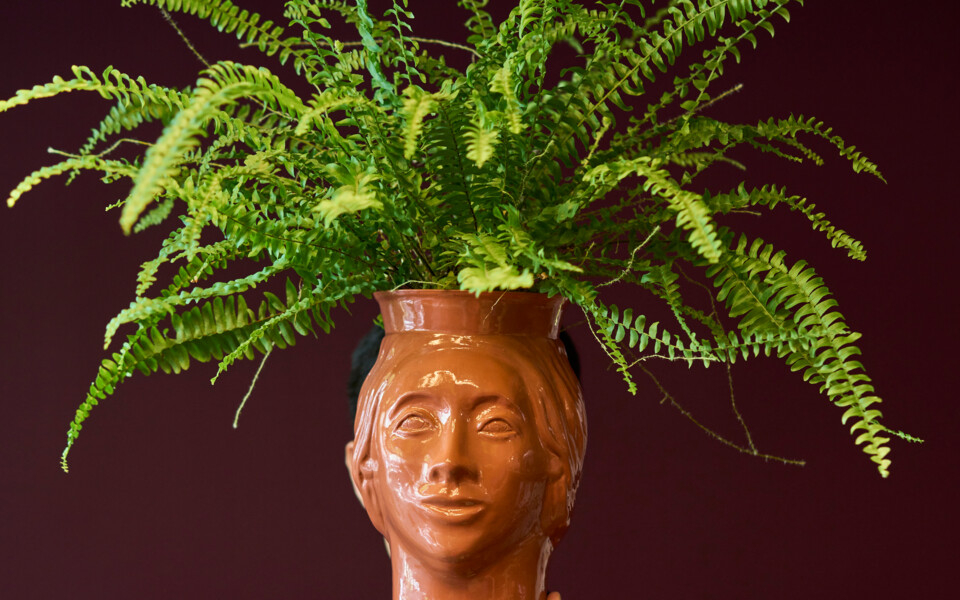 Henriette-Vase mit grünem Farn im Familienhotel Henriette in Wien.