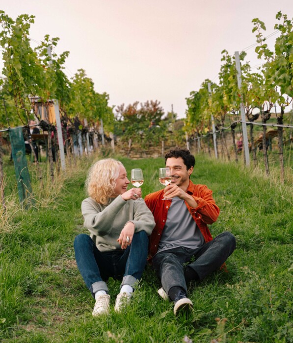 Two people sitting on grass in a Viennese vineyard between grapevines clinking wine glasses.