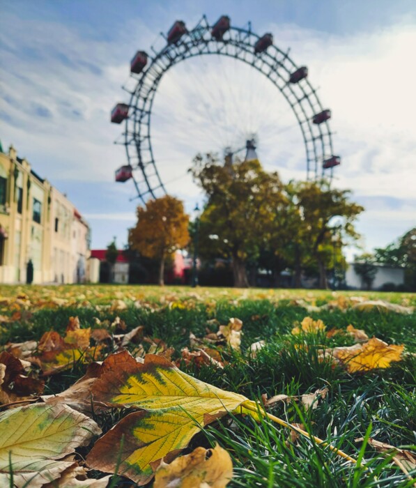 Wiese mit bunten Herbstblättern im Wiener Prater, im Hintergrund das Riesenrad.